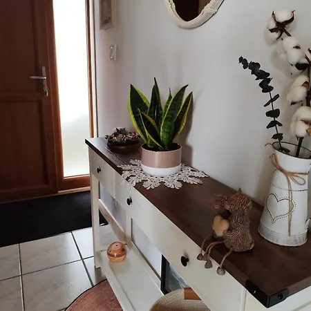 Cosy En Auvergne Nature Randos Et Volcans * L'Estrade